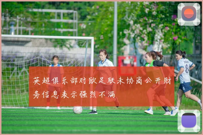 英超俱乐部对欧足联未协商公开财务信息表示强烈不满
