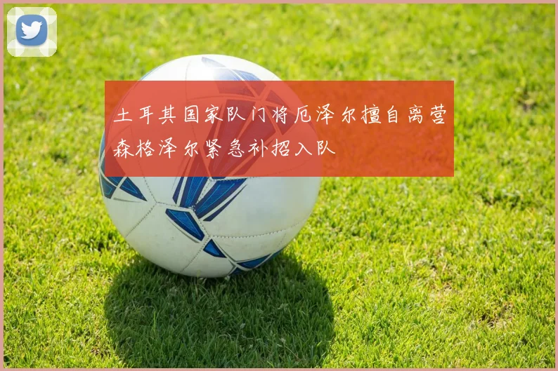 土耳其国家队门将厄泽尔擅自离营森格泽尔紧急补招入队