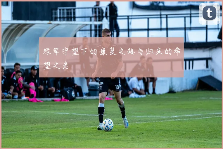 绿军守望下的康复之路与归来的希望之光