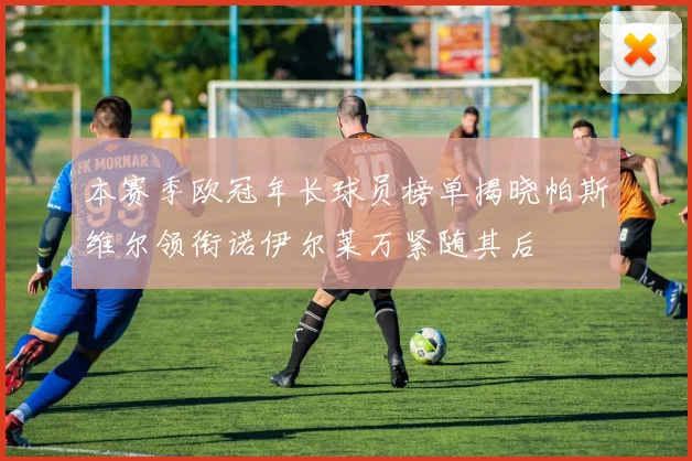 本赛季欧冠年长球员榜单揭晓帕斯维尔领衔诺伊尔莱万紧随其后