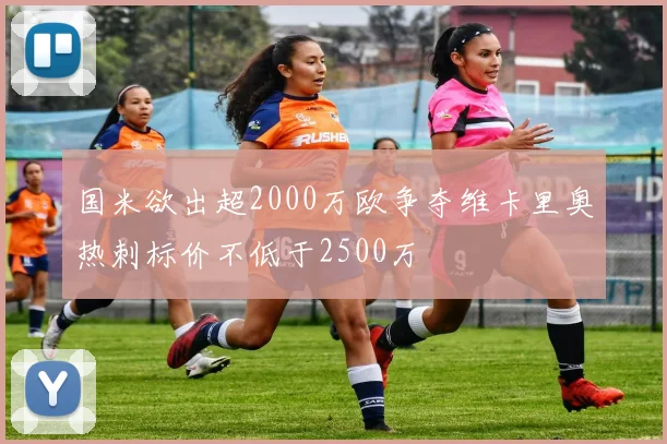 国米欲出超2000万欧争夺维卡里奥热刺标价不低于2500万