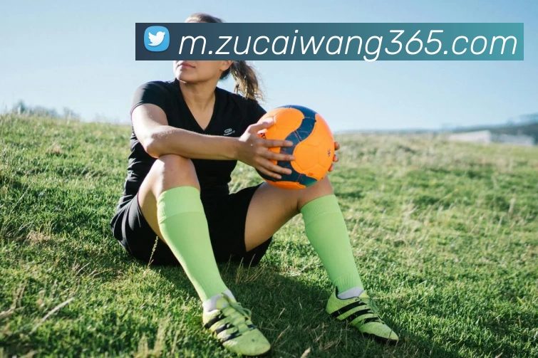 足彩网平台生态图